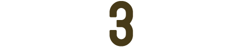 (3)